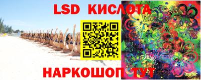 крисы Кунгур