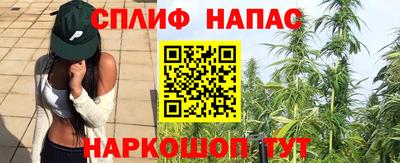 крисы Кунгур