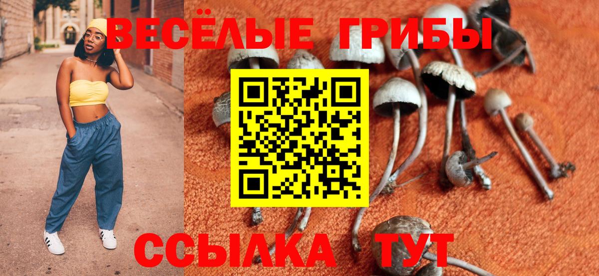 Егорьевск  Псилоцибиновые грибы Psilocybe  Вход с VPN  Галлюциногенные грибы GOLDEN TEACHER 